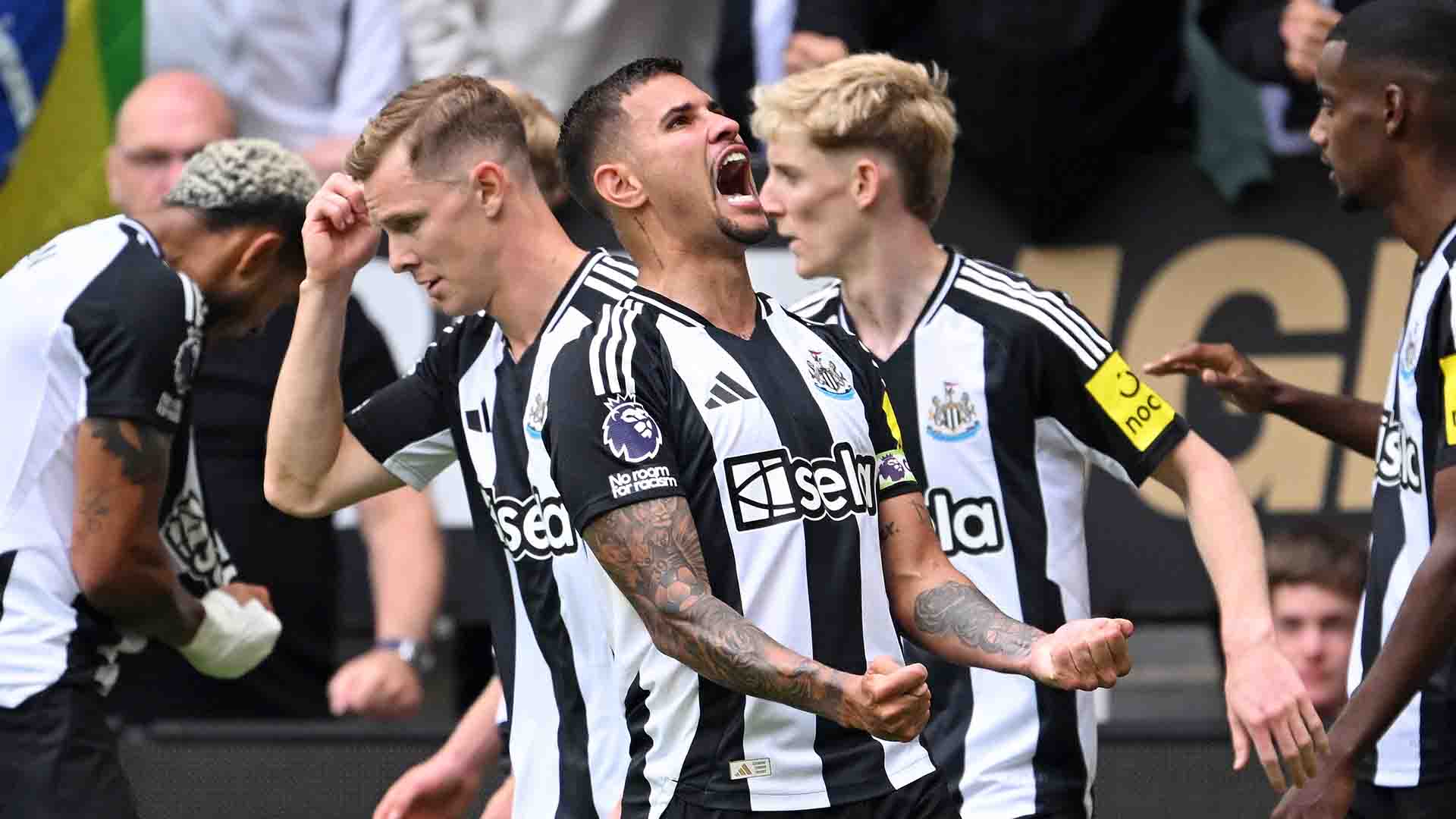 Newcastle United Semakin Percaya Diri di Premier League
